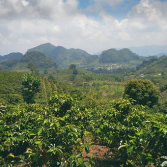 Honduras