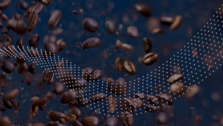 coffee beans with blue background